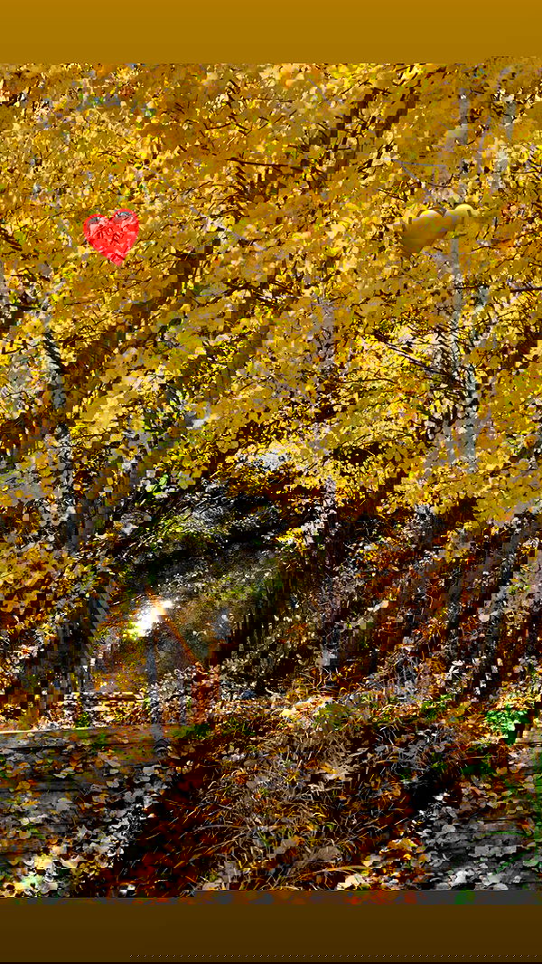 nyityam nyityam archive image