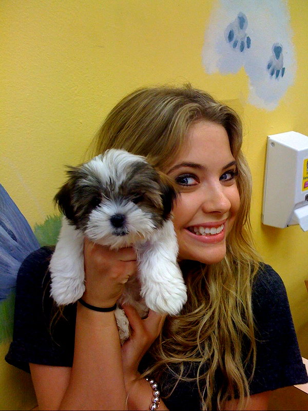 ashleybenson instagram image archive image