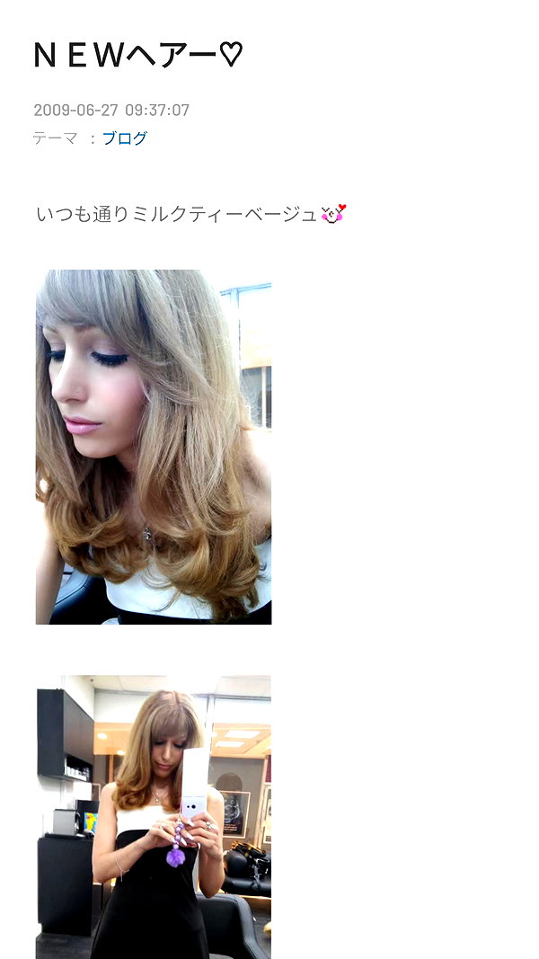 piyokoblog archive image