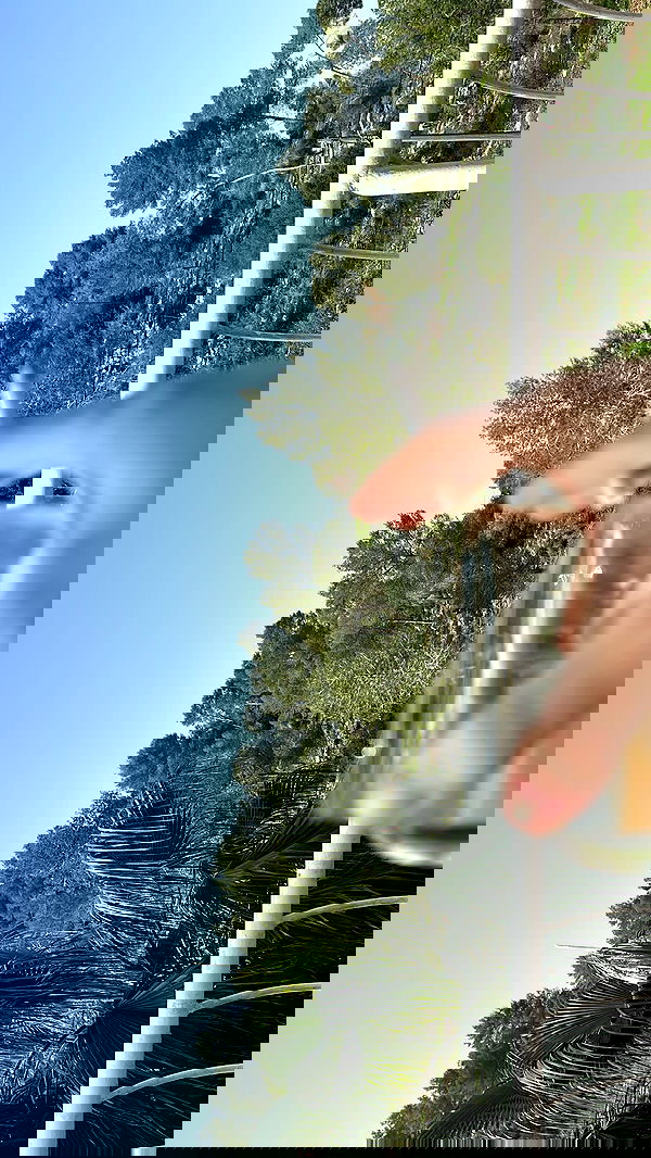 moonliliaght moonliliaght archive image