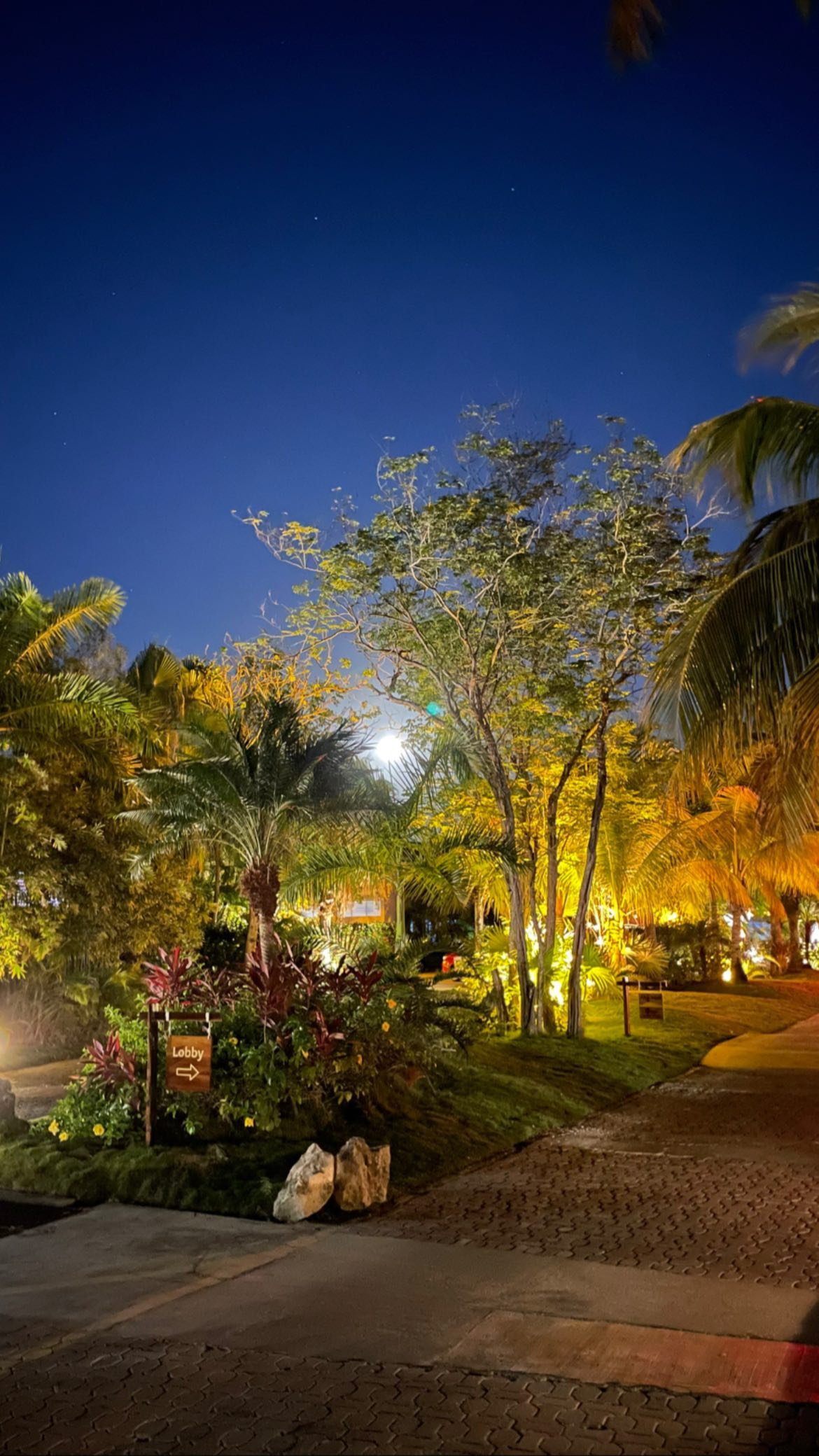 shunli__mei instagram image archive image