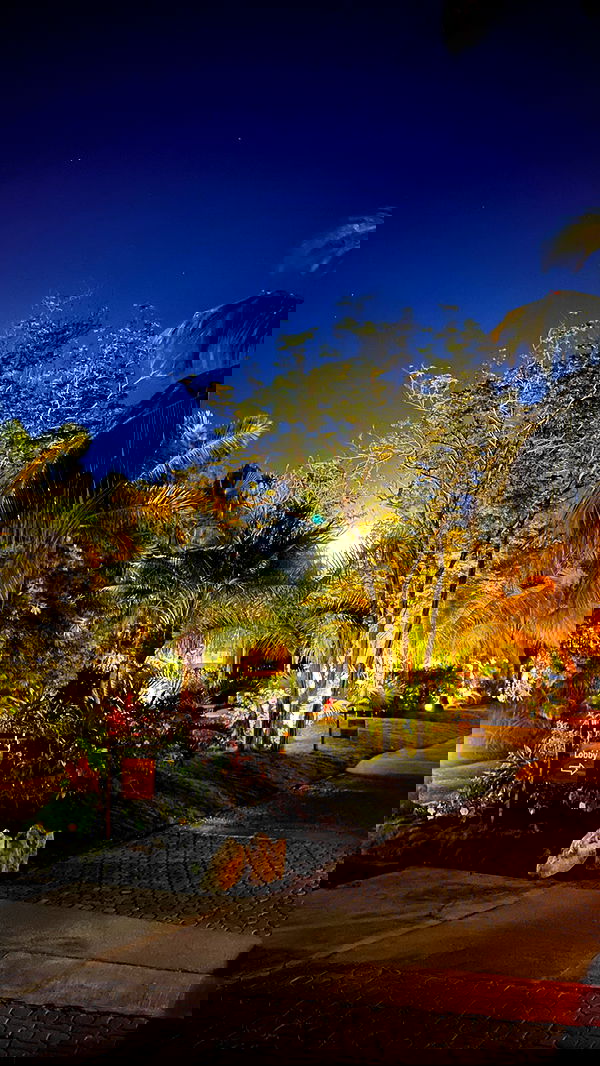 shunli__mei image ~ Altpins