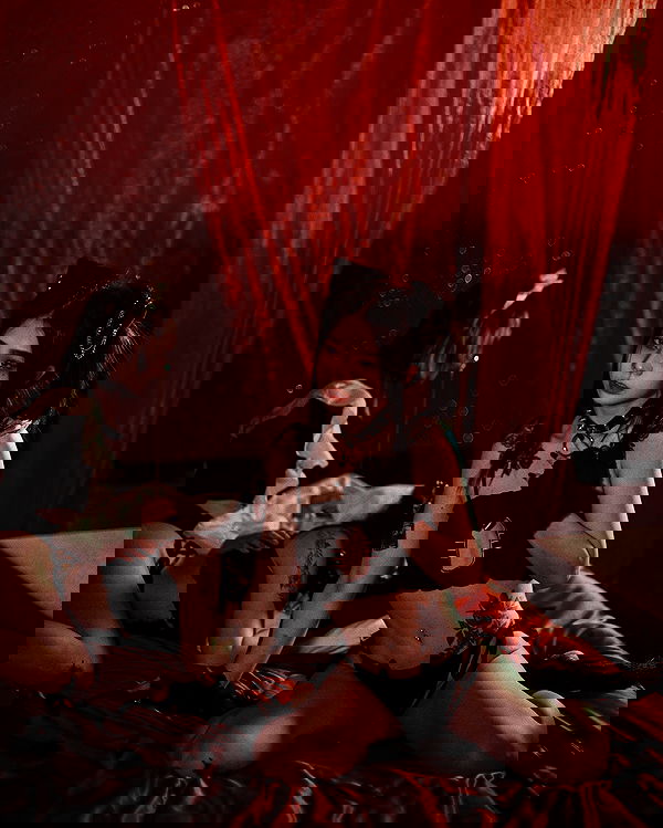 ting851204 ting851204 archive image