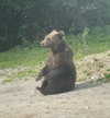 s111y_ccc0nt3 Altpins Profile Picture