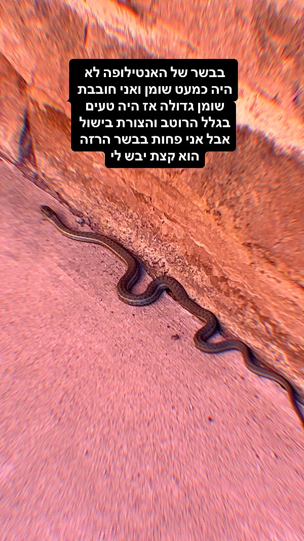 lotembar lotembar archive image