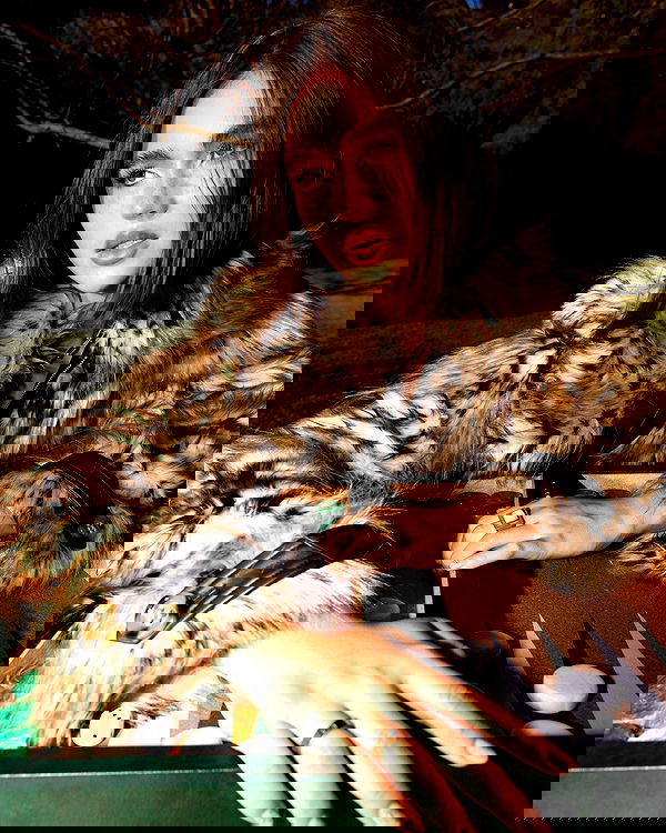 taylor.creeden taylor.creeden archive image