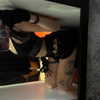 jade699x3 Altpins Profile Picture