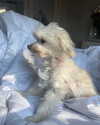 elizabethcampbelljones Altpins Profile Picture