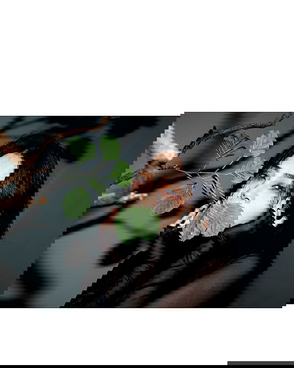 ting851204 ting851204 archive image