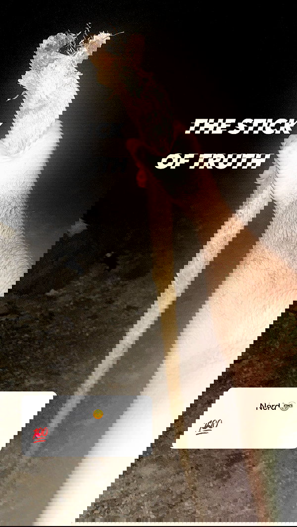 sapir_shemer sapir_shemer archive image