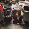 lucyhale Altpins Profile Picture