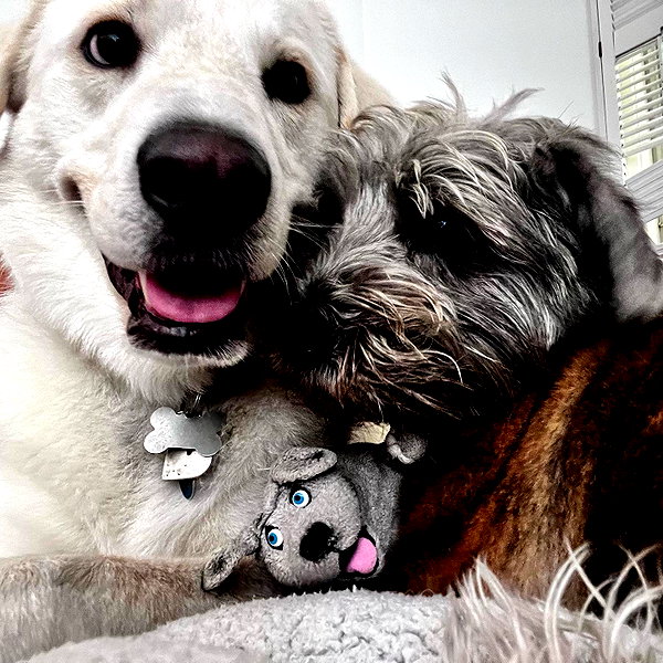 jenniferaniston instagram image archive image