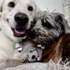 jenniferaniston Altpins Profile Picture