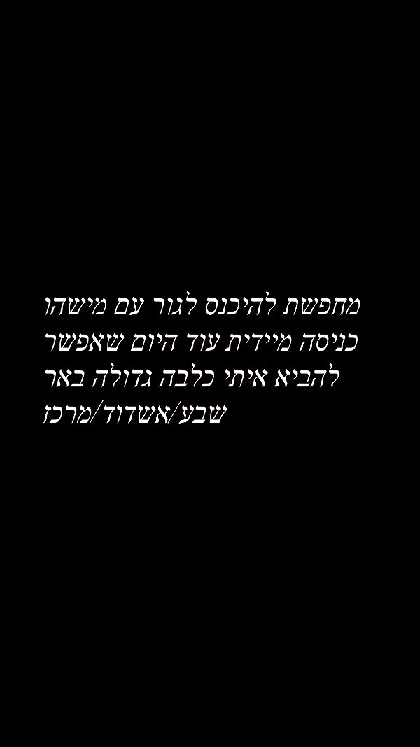 hadar.cha instagram image archive image