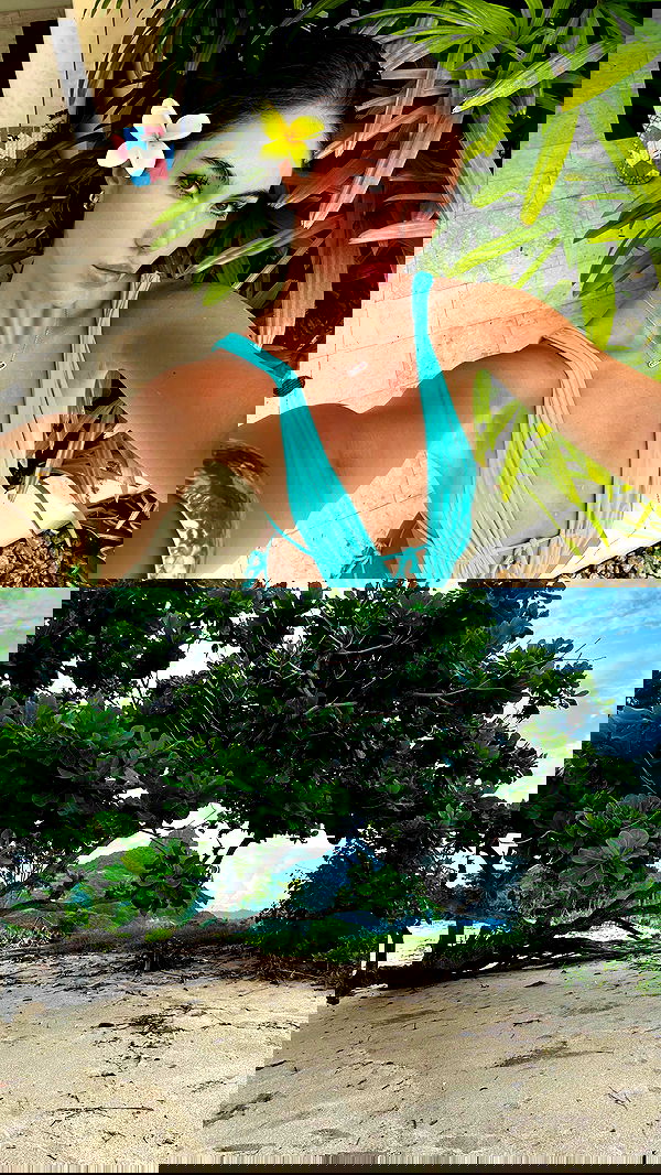 taylor.creeden taylor.creeden archive image