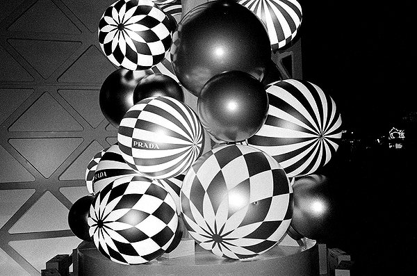 ninastodden instagram image archive image