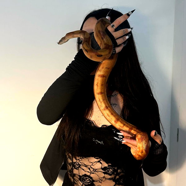 dustheadd instagram image archive image