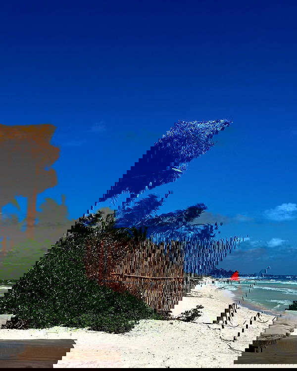 manjolamuriqi manjolamuriqi archive image