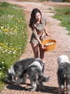 fair_mua Altpins Profile Picture
