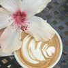 livia._.paige Altpins Profile Picture