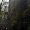 pol_cherie Altpins Profile Picture