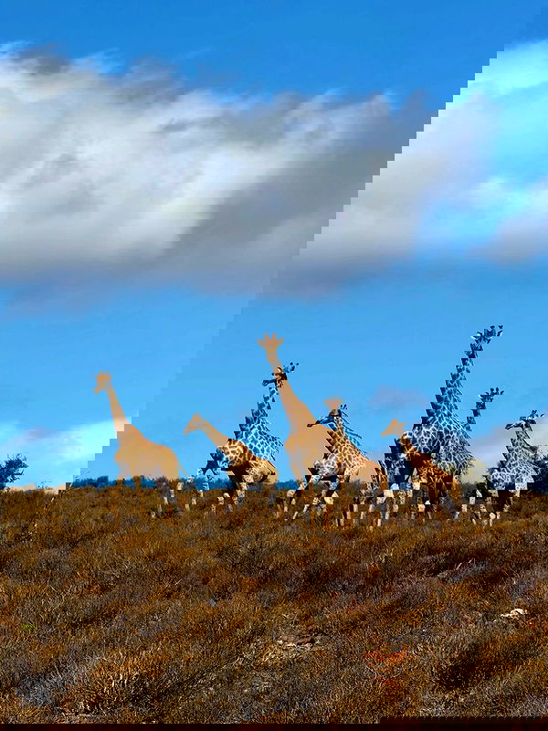 taylor.creeden taylor.creeden archive image