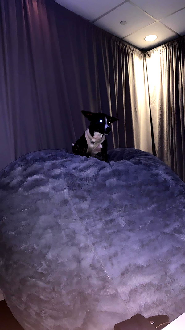 arianagrande instagram image archive image