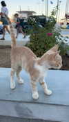dekota_thompson Altpins Profile Picture