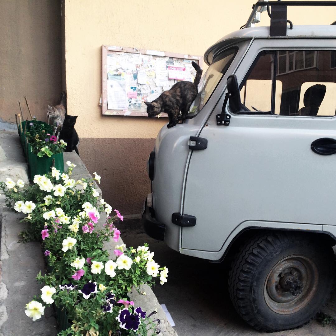 kkulakovaa instagram image archive image