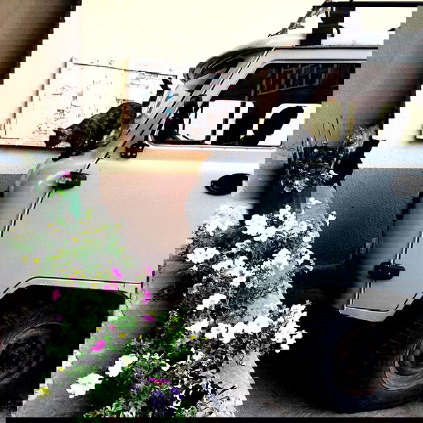 kkulakovaa image ~ Altpins