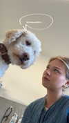 danamrts Altpins Profile Picture
