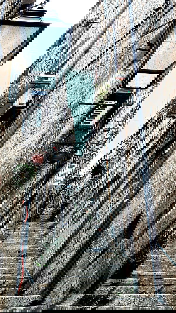 taylor.creeden taylor.creeden archive image