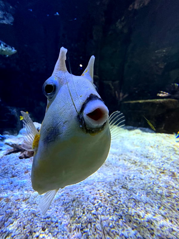 mayamorgannnnnn instagram image archive image