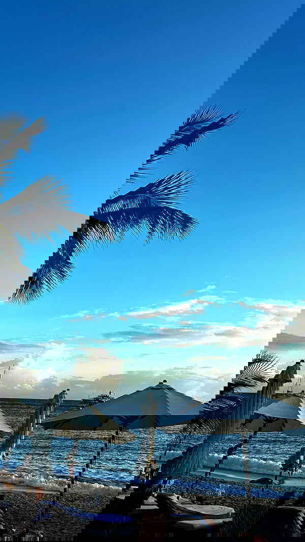 taylor.creeden taylor.creeden archive image