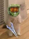 ellaexplicit_ Altpins Profile Picture
