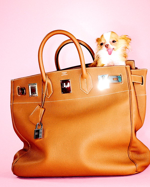 demimoore instagram image archive image
