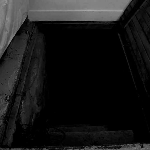 amanitalis instagram image archive image