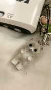 imnotsevven Altpins Profile Picture