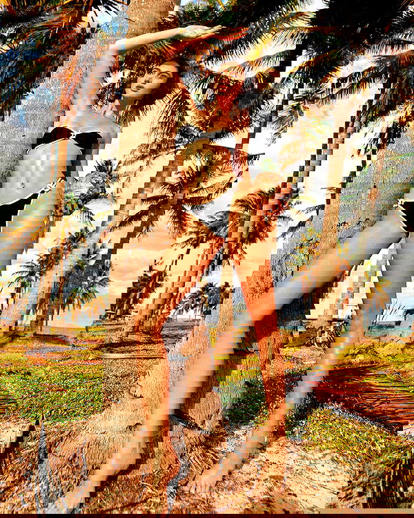 taylor.creeden taylor.creeden archive image