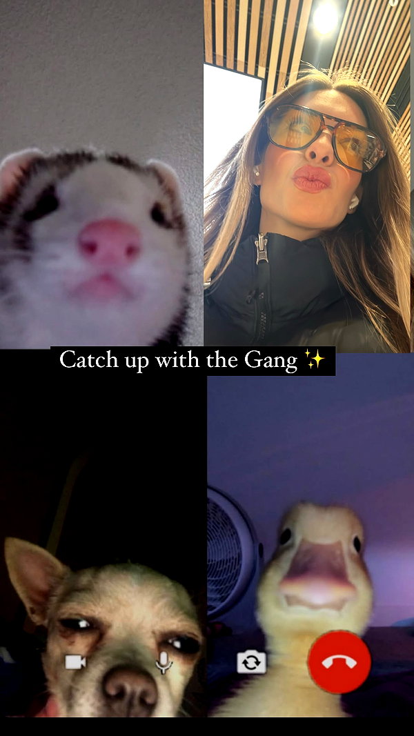 sophielaurenxxo instagram image archive image