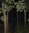 danielle.mercedie Altpins Profile Picture