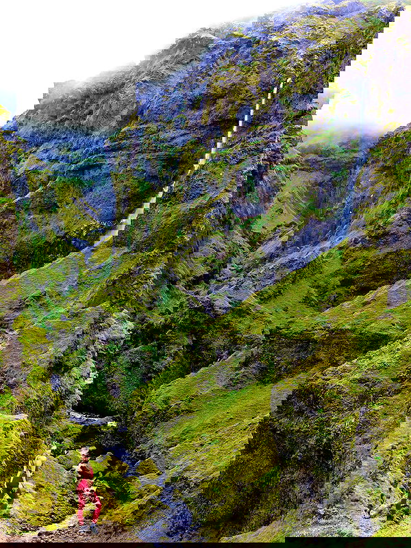 taylor.creeden taylor.creeden archive image