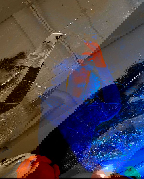 kkulakovaa image ~ Altpins