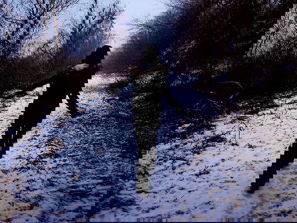 twodollie twodollie archive image