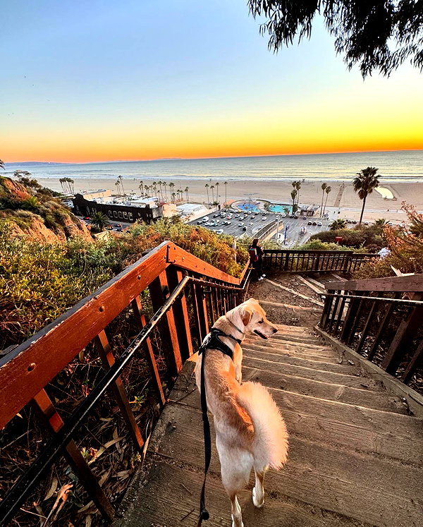 gabbyepstein instagram image archive image