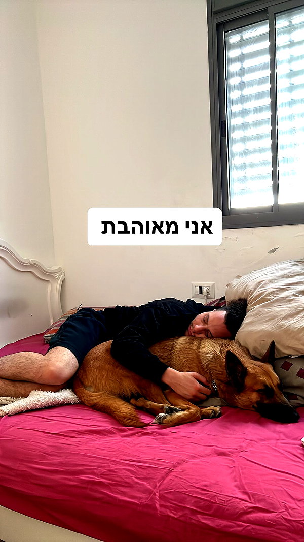 yuval_raz archive image