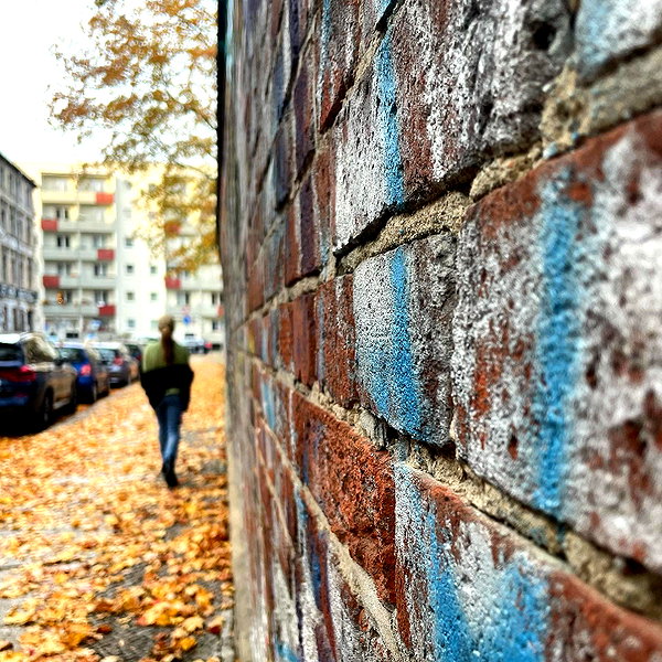annezivi instagram image archive image