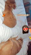 maori_cohen Altpins Profile Picture