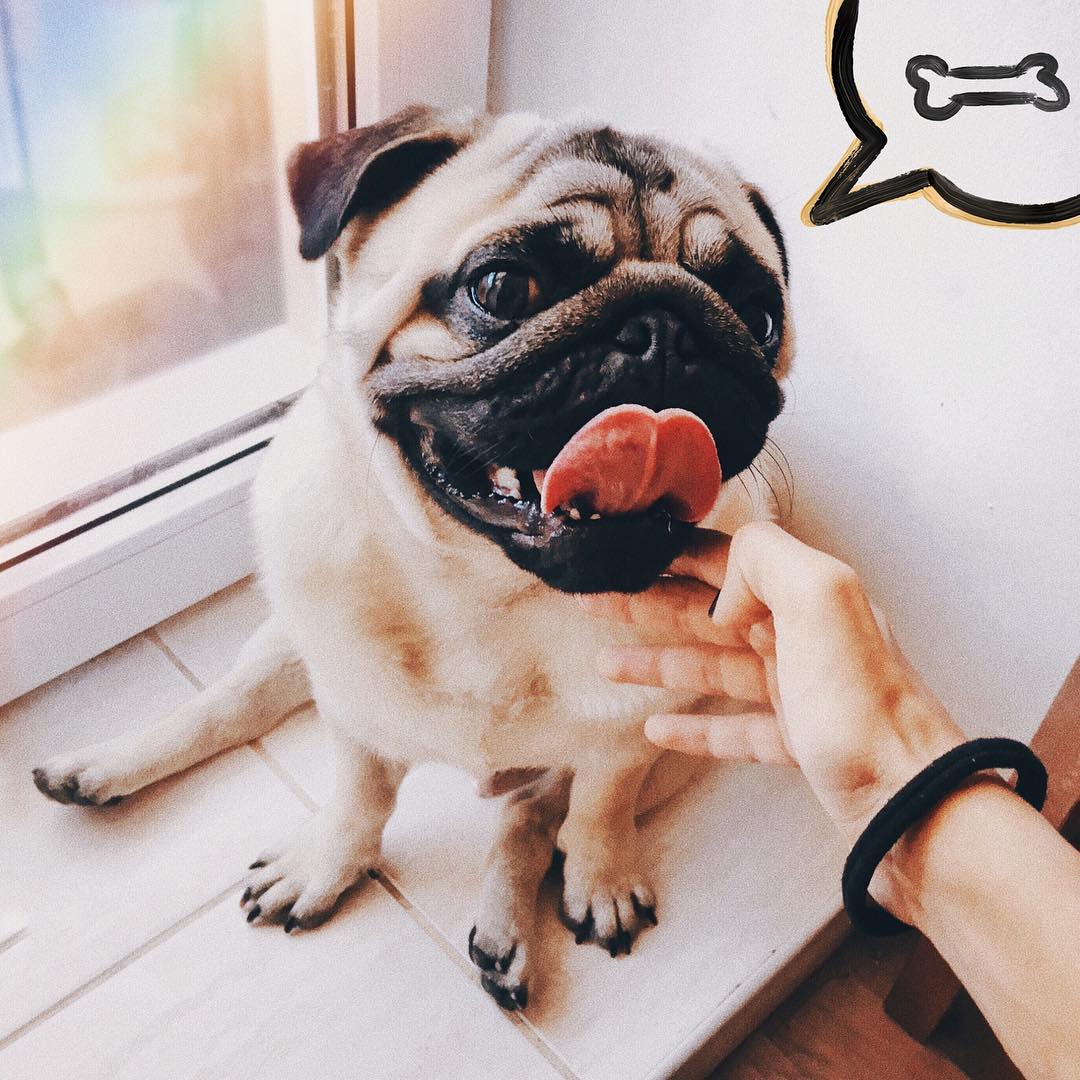 kkulakovaa instagram image archive image