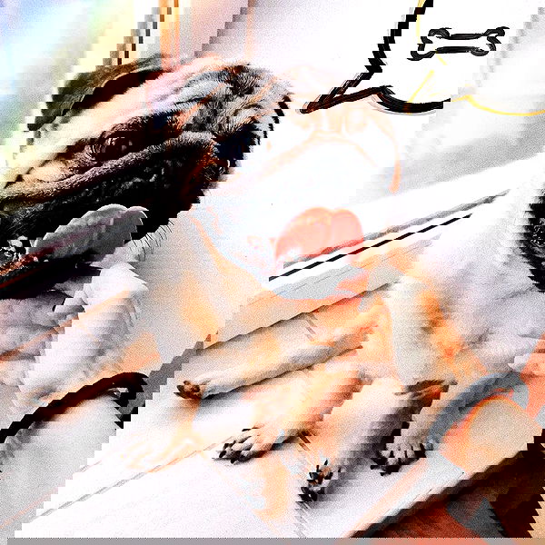 kkulakovaa image ~ Altpins